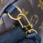 Louis Vuitton Palm Springs Mini M44873 Brown